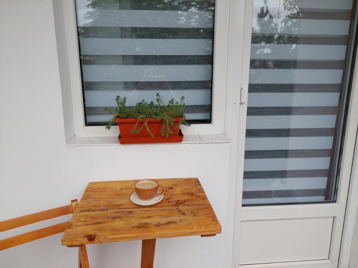 Bright And Cozy Apartment! Cluj-Napoca Ngoại thất bức ảnh